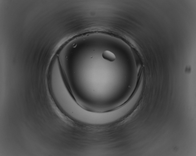 X0000090631034200707171443