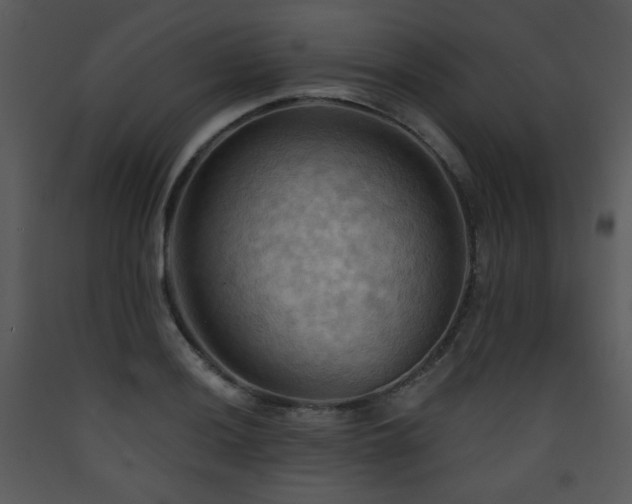 X0000090631036200707171443