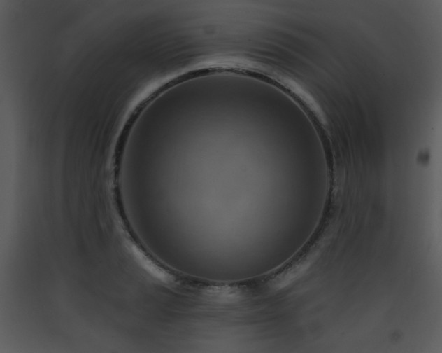 X0000090631037200707171443