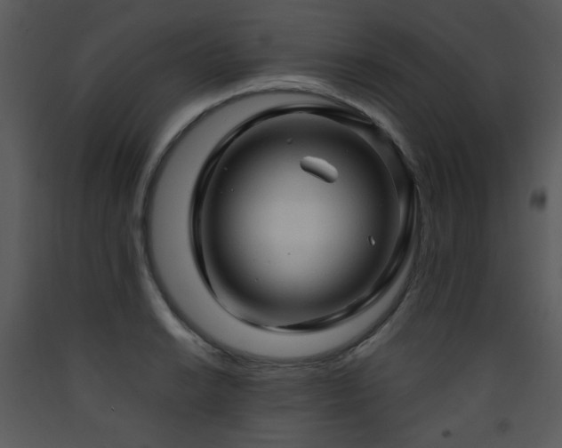 X0000090631038200707171443