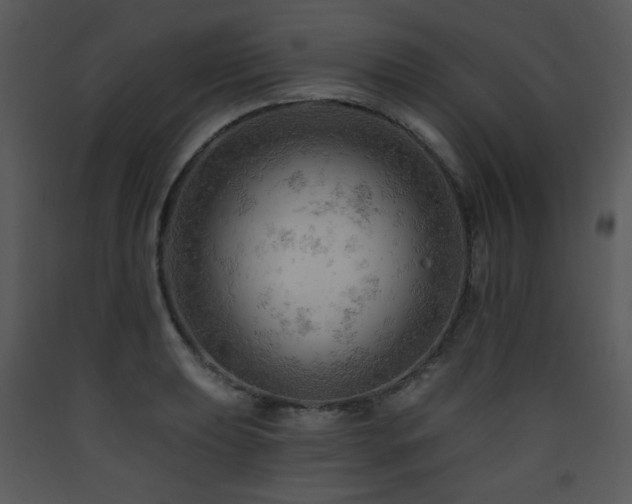 X0000090631039200707171443