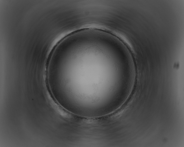 X0000090631040200707171443