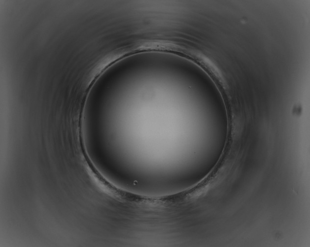 X0000090631041200707171443