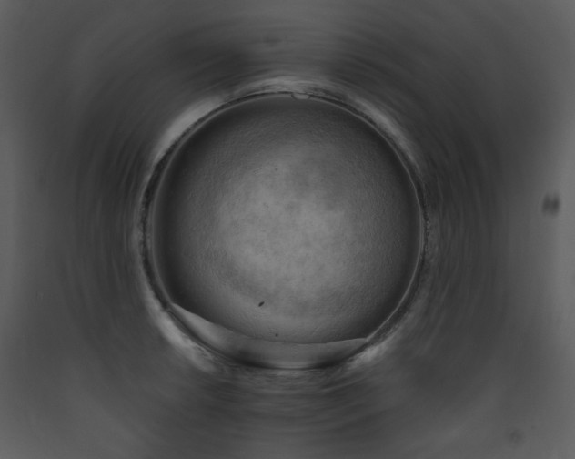 X0000090631042200707171443