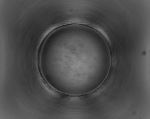 X0000090631043200707171443