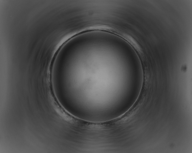 X0000090631044200707171443