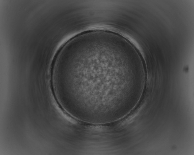 X0000090631045200707171443