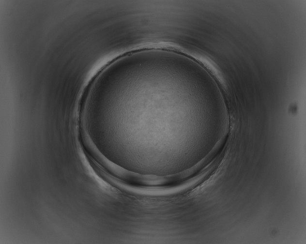 X0000090631046200707171443