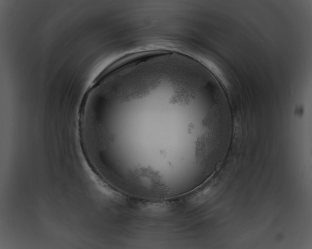 X0000090631047200707171443