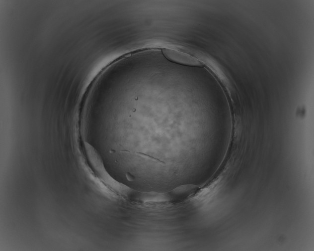 X0000090631048200707171443