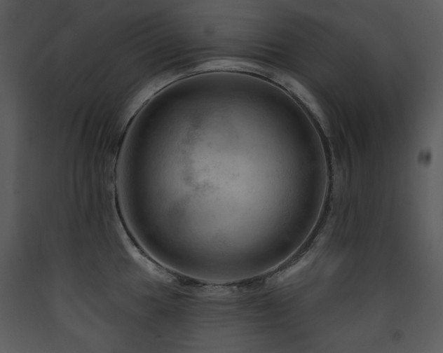 X0000090631049200707171443