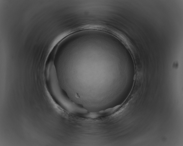 X0000090631050200707171443