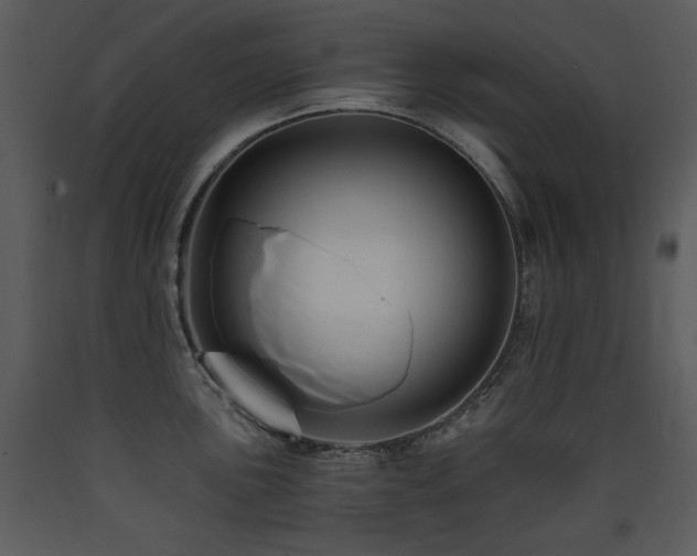 X0000090631051200707171443