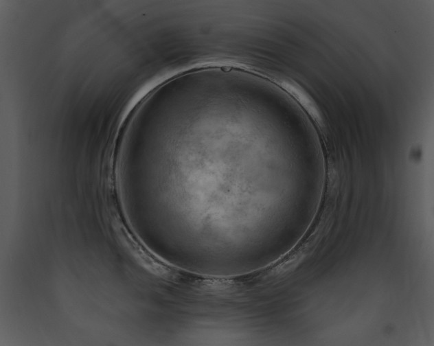 X0000090631052200707171443