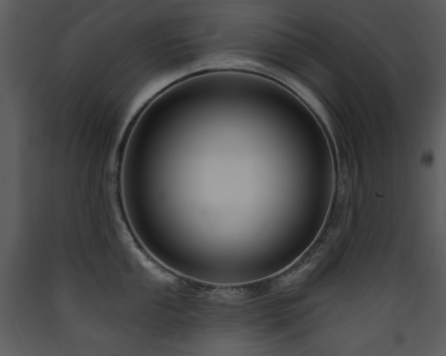 X0000090631053200707171443