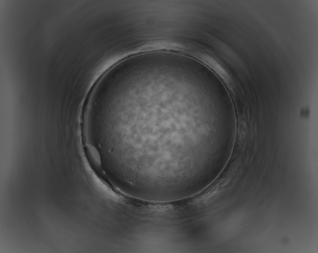 X0000090631055200707171443