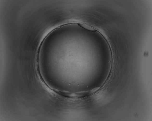 X0000090631056200707171443