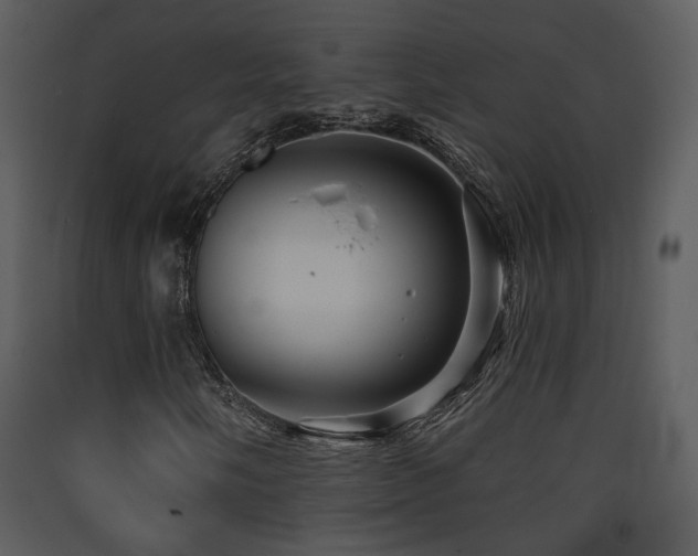 X0000090631058200707171442