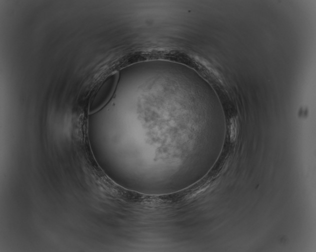 X0000090631059200707171442