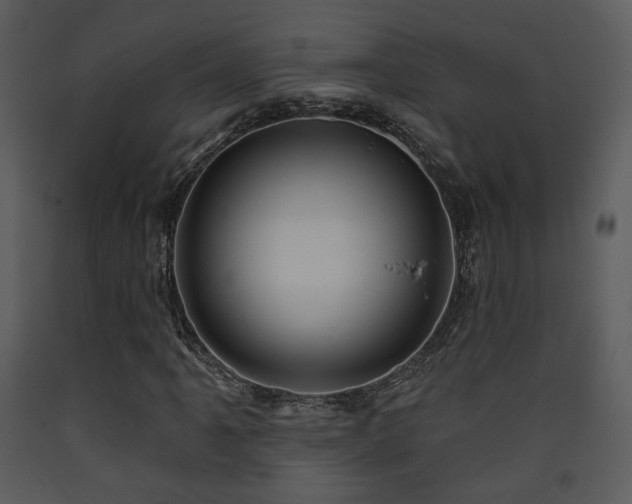 X0000090631061200707171442