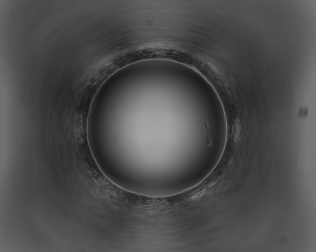 X0000090631062200707171442