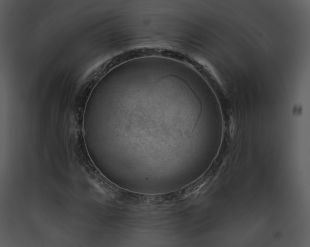 X0000090631064200707171442