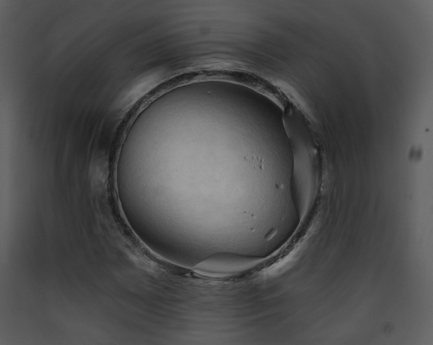 X0000090631065200707171442
