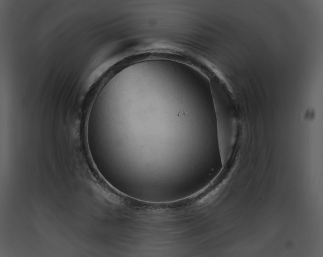 X0000090631066200707171442