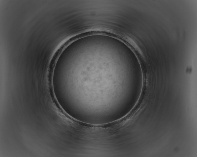 X0000090631068200707171442
