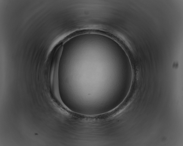 X0000090631069200707171442