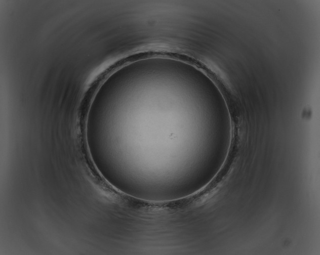 X0000090631070200707171442