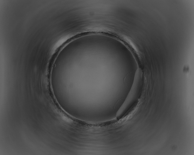 X0000090631071200707171442