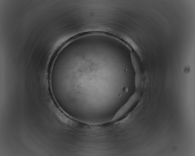 X0000090631072200707171442