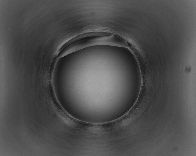 X0000090631073200707171442