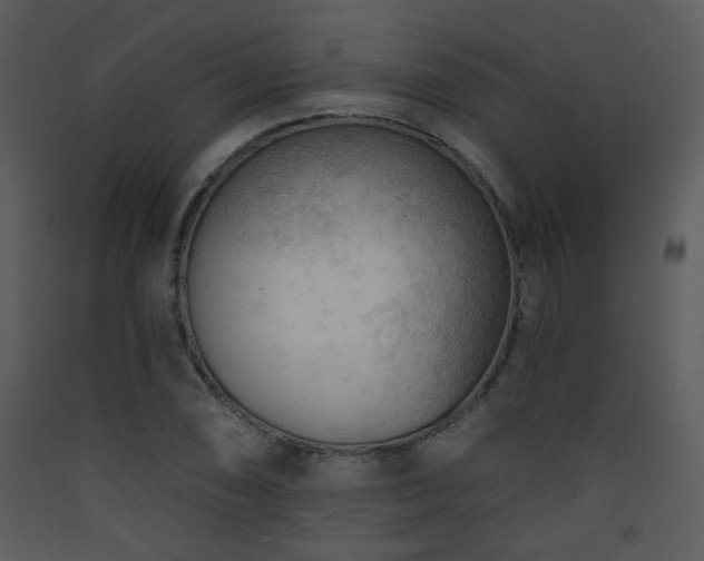 X0000090631074200707171442