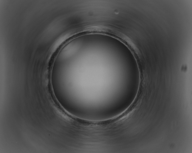 X0000090631075200707171442