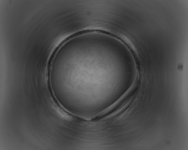 X0000090631076200707171442