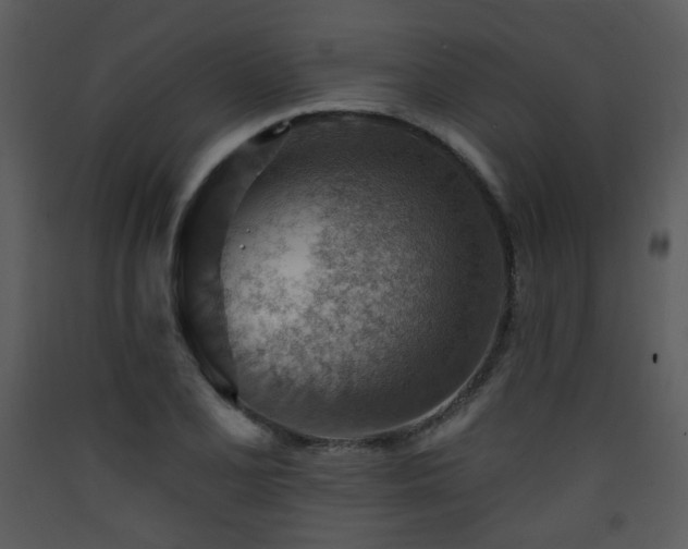 X0000090631077200707171442