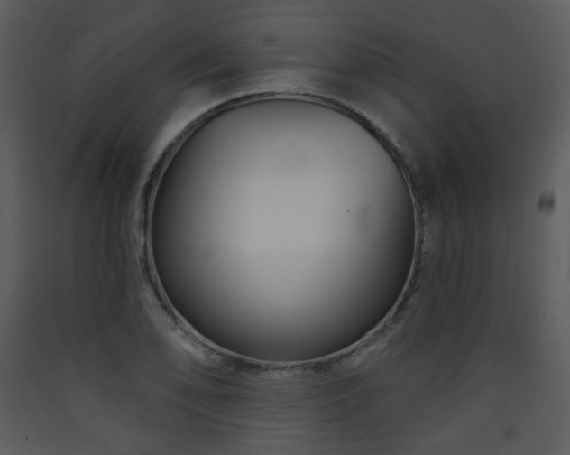 X0000090631078200707171442