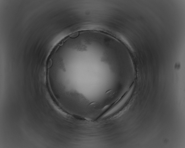X0000090631079200707171442