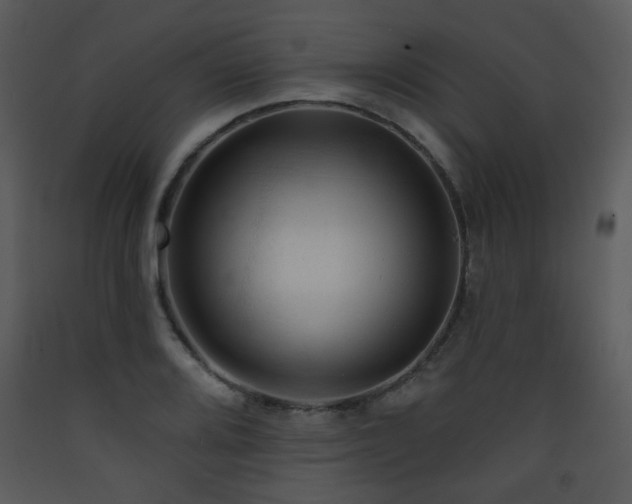 X0000090631080200707171442