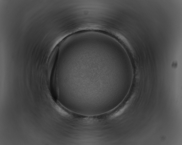 X0000090631081200707171442
