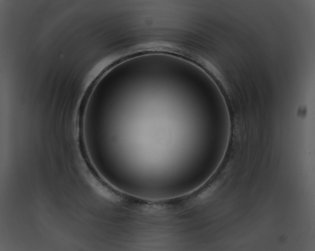 X0000090631082200707171442