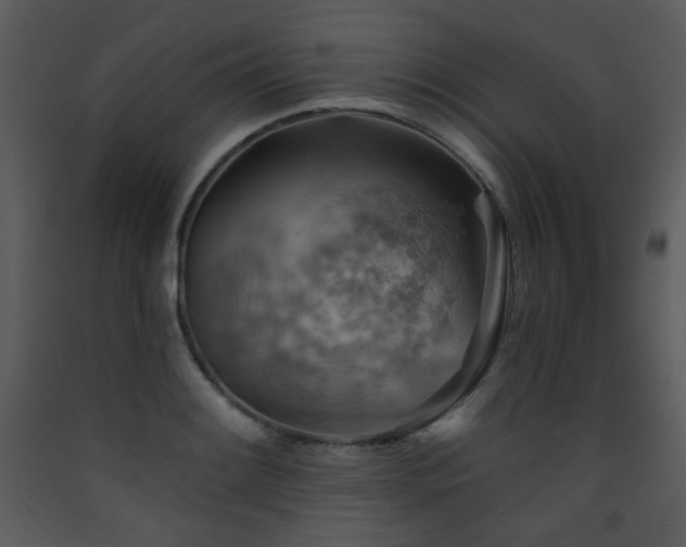 X0000090631084200707171442