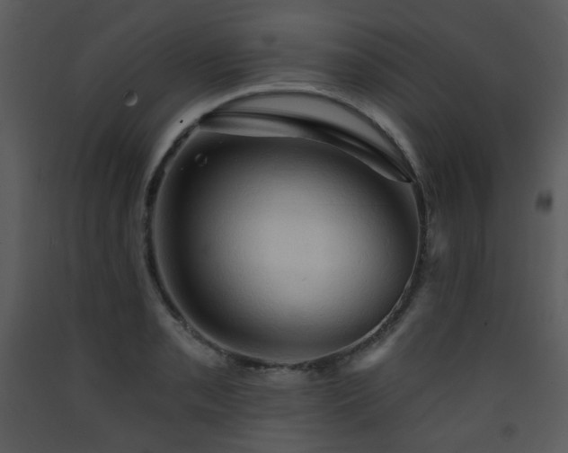 X0000090631085200707171442