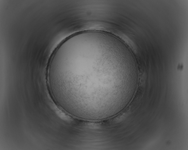 X0000090631086200707171442