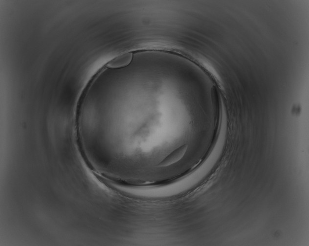 X0000090631087200707171442