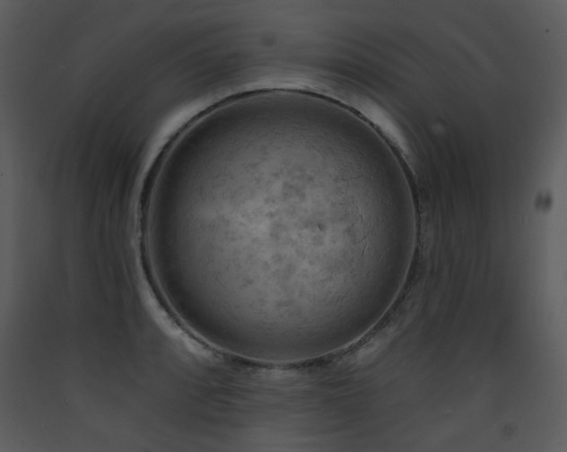 X0000090631088200707171442