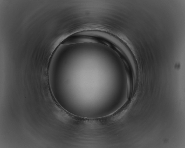 X0000090631089200707171442