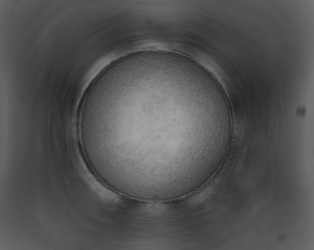 X0000090631090200707171442